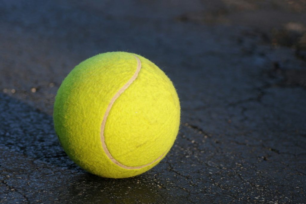A New Kind of Sports Culture